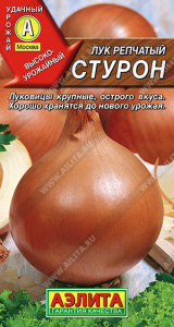 Лук (репчатый) Стурон купить