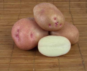 Картофель семенной Ильинский 2кг/10 купить