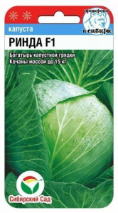 Капуста Ринда  купить