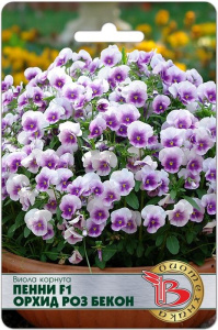 Виола корнута Пенни F1 Орхид Роз бекон купить