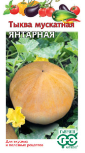 Тыква Янтарная мускатная купить