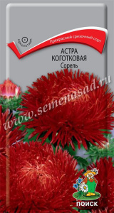 Астра Сорель коготковая купить