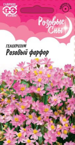 Гелихризум Розовый Фарфор  купить