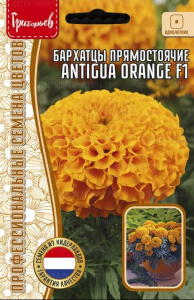 Бархатцы Антигуа F1 Оранж купить