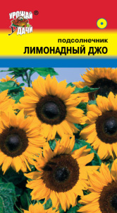 Подсолнечник Лимонадный Джо купить