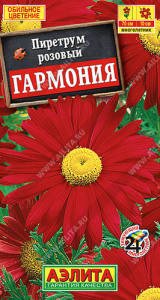 Пиретрум Гармония  купить