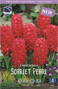 Гиацинт Скарлет Перл /5шт купить