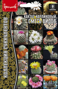 Кактус Смесь Видов карликовый купить