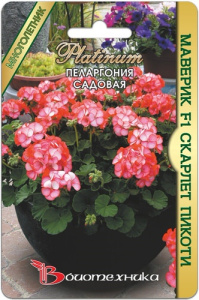 Пеларгония Мэверик F1 Скарлет Пикоти садовая  купить