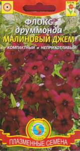 Флокс друммонда Малиновый джем  купить