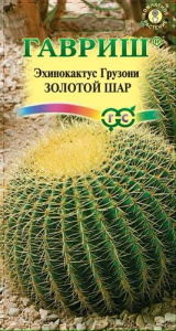 Эхинокактус Грузона Золотой шар  купить
