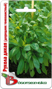 Руккола дикая  купить