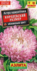 Астра Королевский размер яблоневый цвет  купить