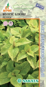 Колеус Блюме Йеллоу купить