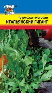 Петрушка Итальянский Гигант листовая купить