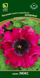 Петуния превосходнейшая Бордовая купить