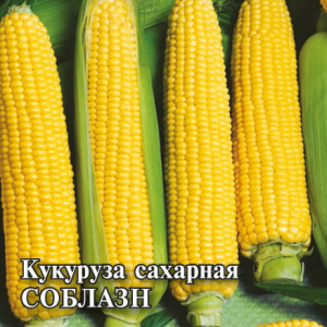 Кукуруза Сахарная Соблазн 50г ПРОФ купить