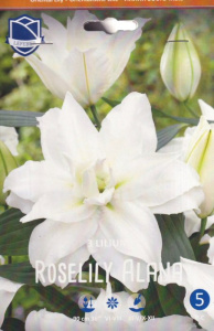 Лилия восточная Roselily Alana - double /3шт купить