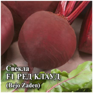 Свекла Ред Клауд F1 10г (Голландия) купить