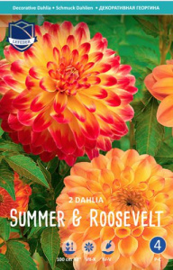 Смесь георгин S.of Summer & Roosevelts Choice /2шт купить