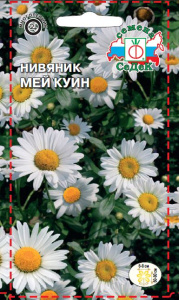 Нивяник (хризантема) Мей Куин купить