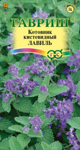 Котовник кистевидный Лавиль купить