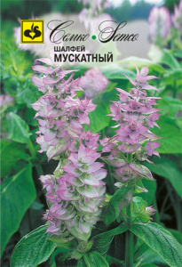 Шалфей мускатный  купить