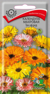 Календула махровая Тач оф Ред купить