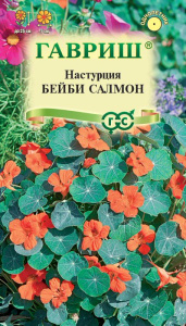 Настурция Бейби салмон купить
