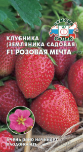 Земляника Розовая мечта  F1  купить