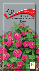 Цинния Румба Розовая низкорослая купить