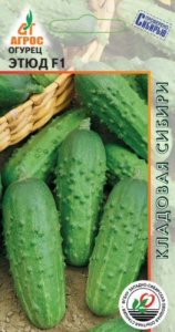 Огурец Этюд  купить