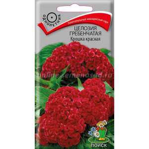 Целозия гребенчатая Крошка красная купить