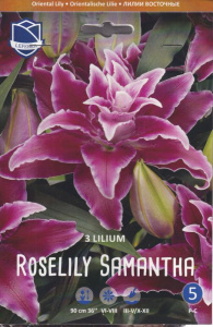 Лилия восточная Roselily Samantha - double/3шт купить