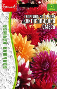 Георгина Кактусовидная Смесьна срезку купить