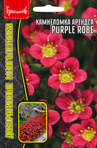 Камнеломка арендса Purple Robe купить