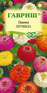 Цинния Пумила, махровая раннецветущая, смесь  купить