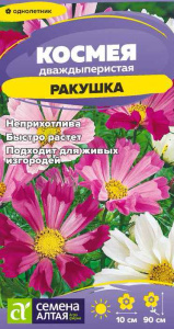 Космея Ракушка купить