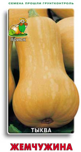 Тыква Жемчужина мускатная  купить