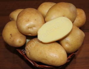 Картофель семенной Жигулевский 2кг/10 купить