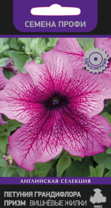 Петуния Вишневые Жилки грандифлора призм  купить