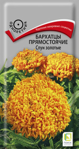 Бархатцы Спун золотые прямостоячие купить