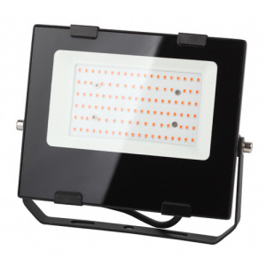 Прожектор LED FITO-50W-RB-LED красно-синего спектра 50Вт  спектра ЭРА купить