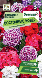 Гвоздика Восточный ковер турецкая купить