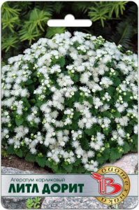 Агератум карликовый Белый Литл Дорит купить