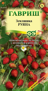 Земляника Руяна ремонтантная безусая купить