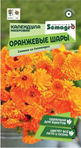 Календула махровая Оранжевые шары  купить