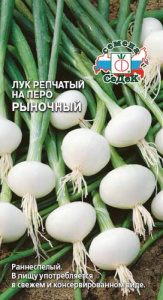 Лук Рыночный, на перо купить