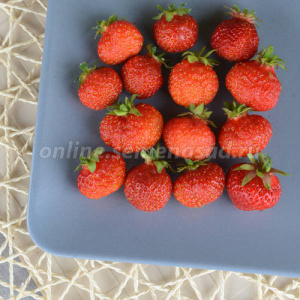 Земляника Первый Поцелуй купить