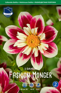 Георгина Fashion Monger /1шт купить